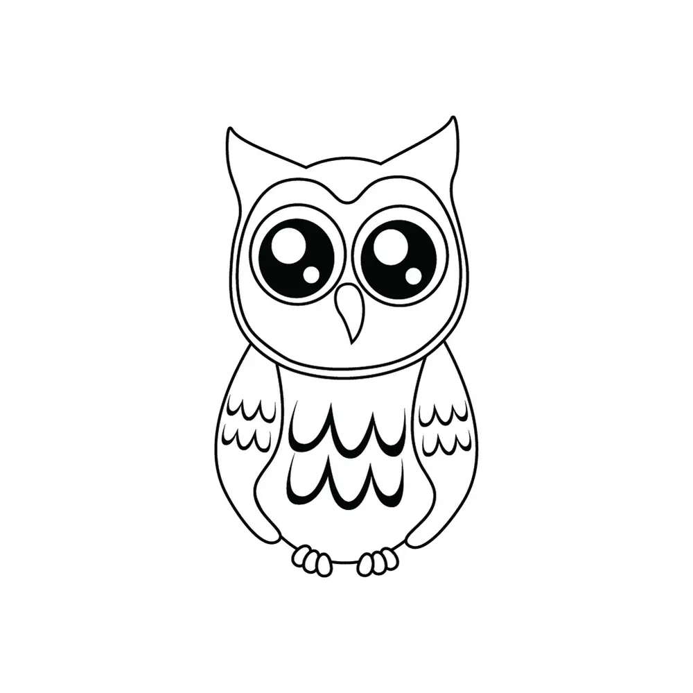 How to Draw A Cute Owl Step by Step Step  9