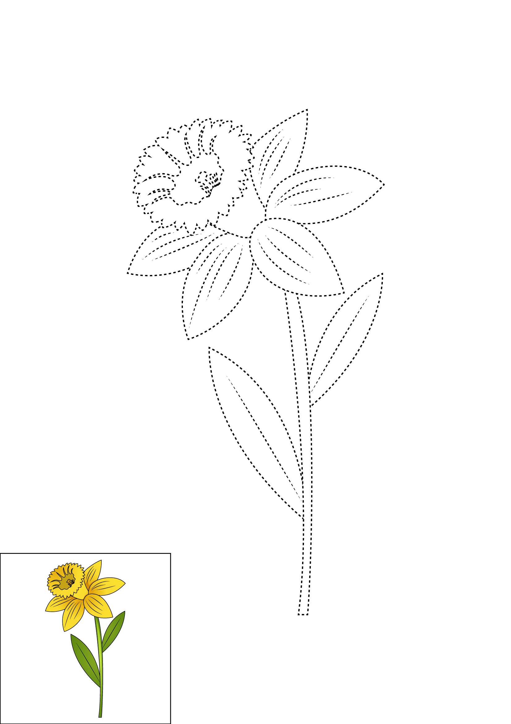 How to Draw A Daffodil Step by Step Printable Dotted
