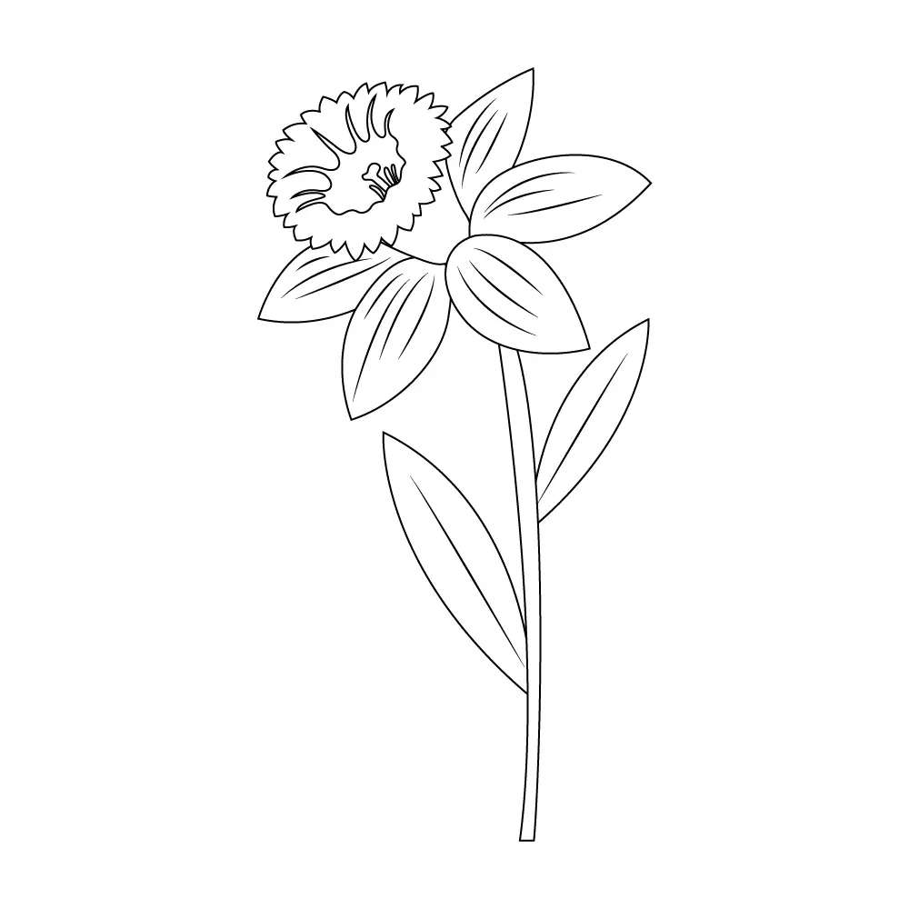 How to Draw A Daffodil Step by Step Step  10