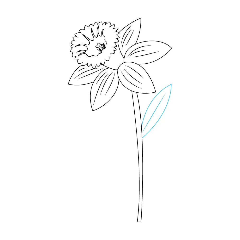 How to Draw A Daffodil Step by Step Step  8