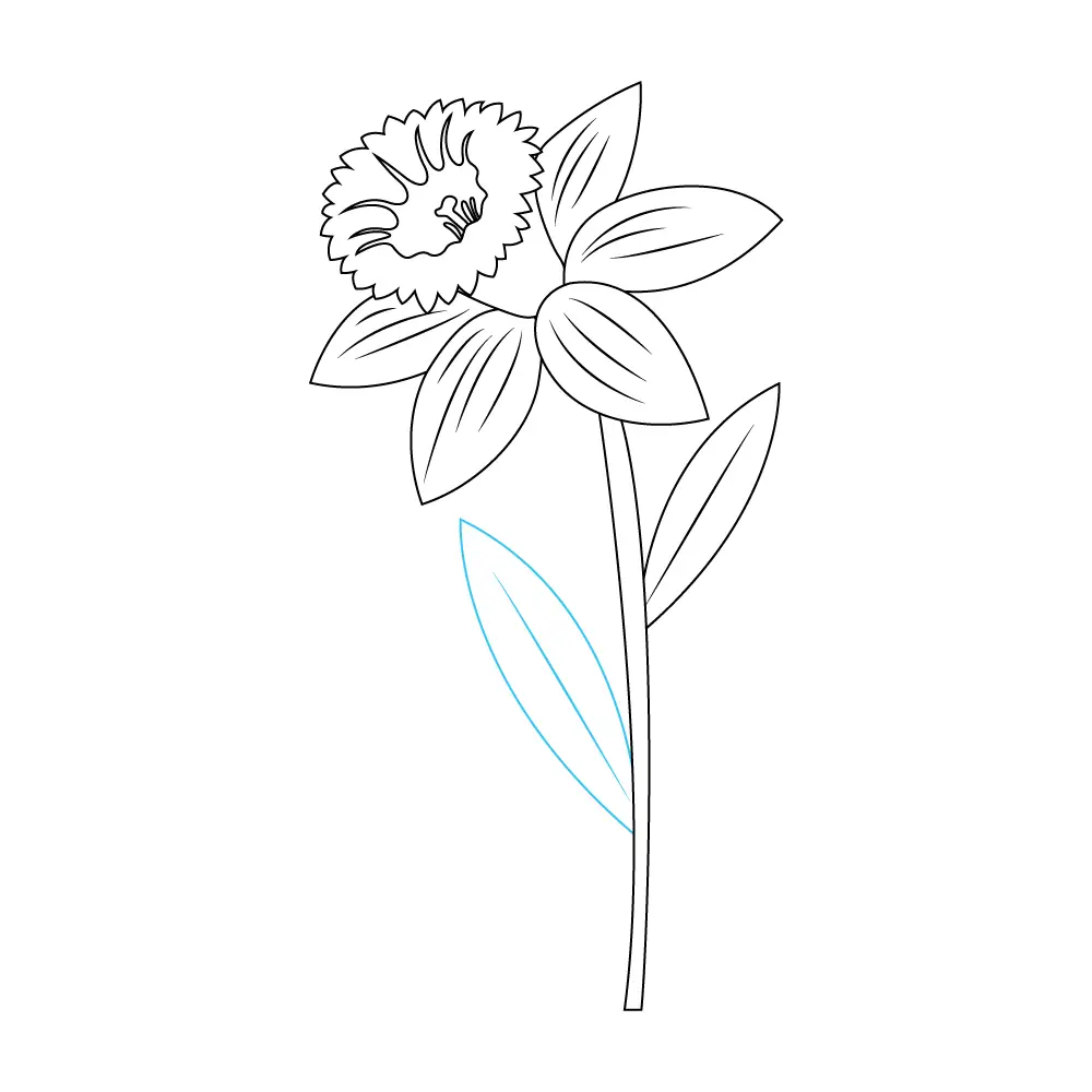 How to Draw A Daffodil Step by Step Step  9