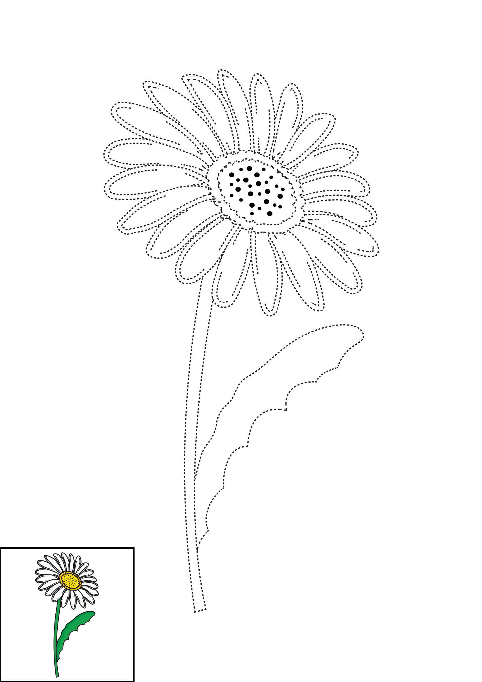 How to Draw A Daisy Step by Step Printable Dotted