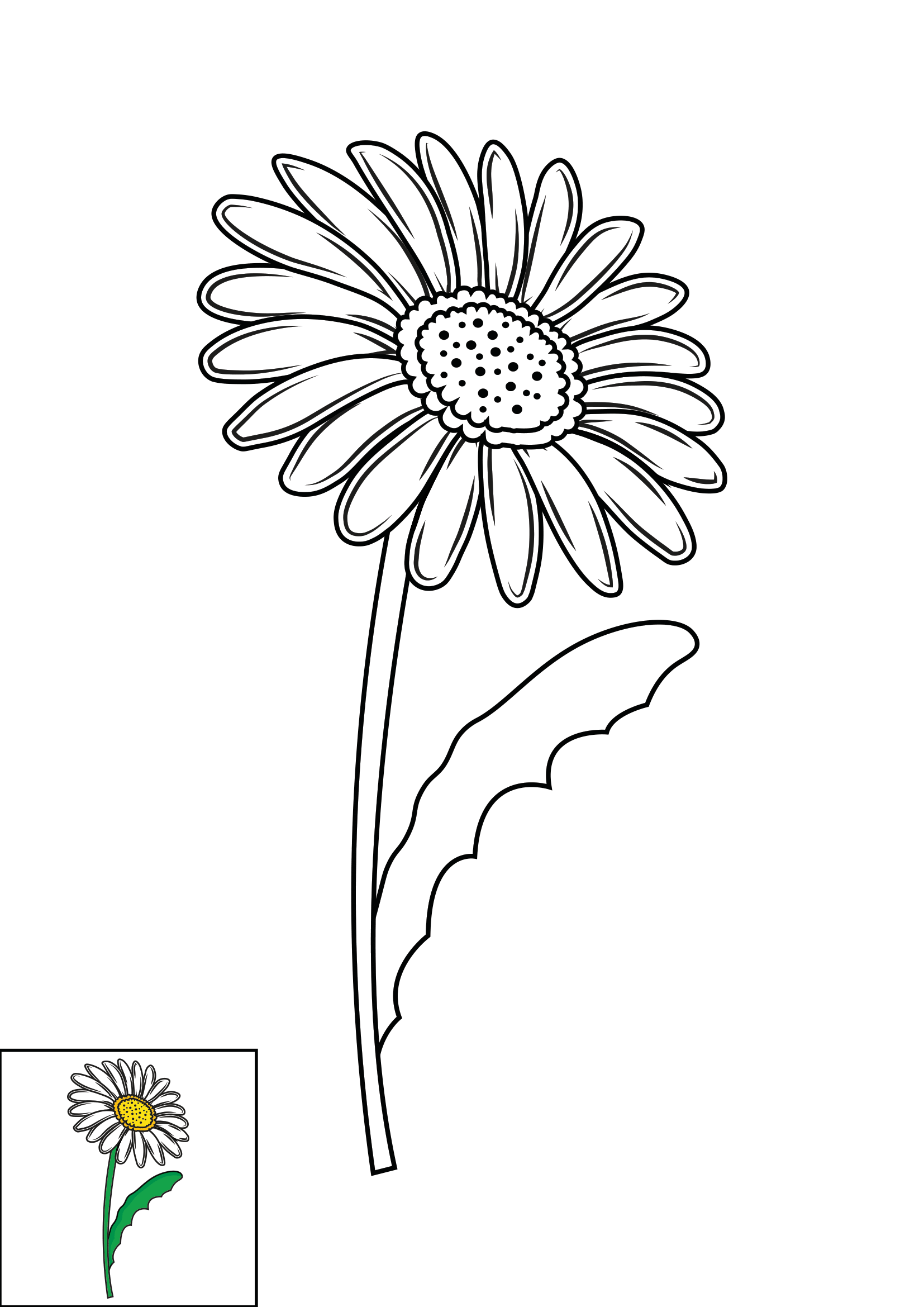 How to Draw A Daisy Step by Step Printable Color