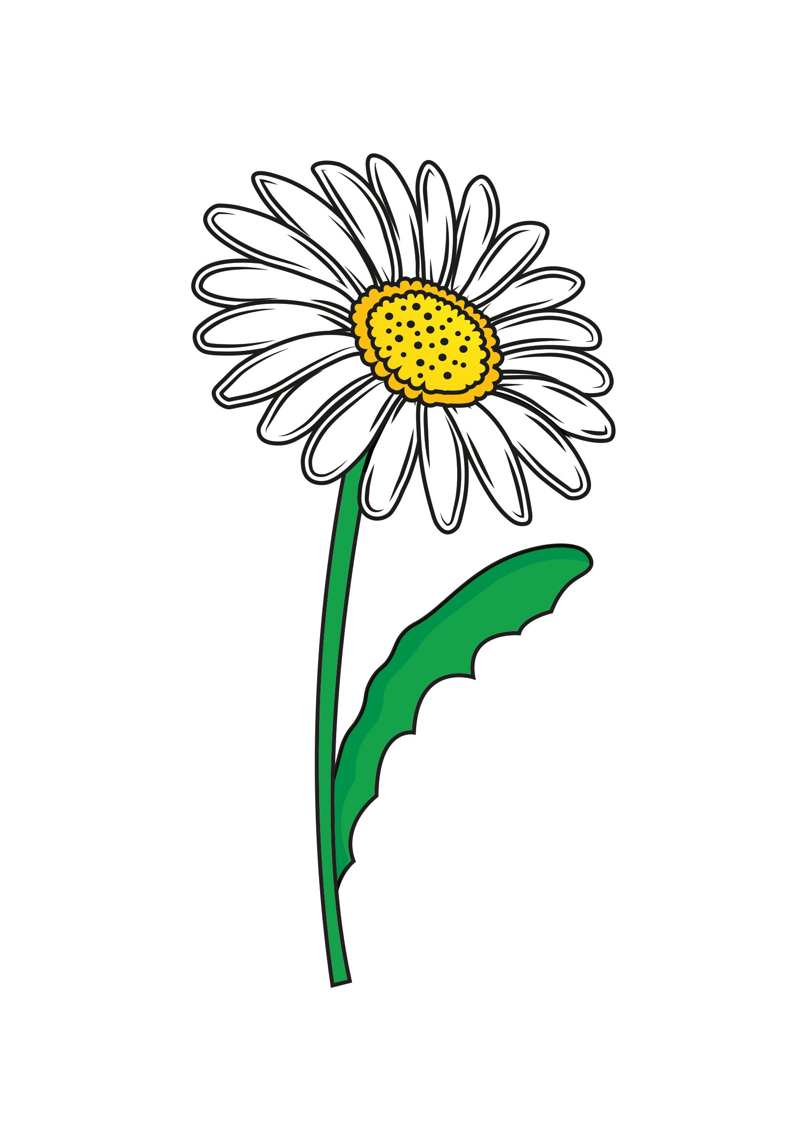 How to Draw A Daisy Step by Step Printable