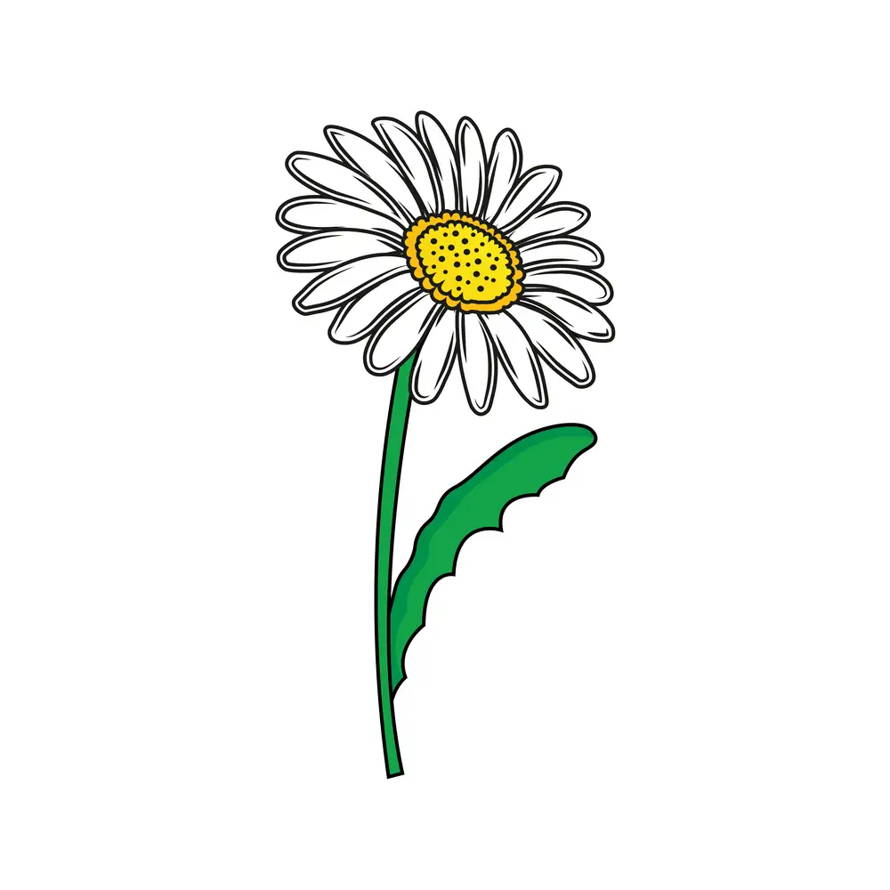 How to Draw A Daisy Step by Step Step  11