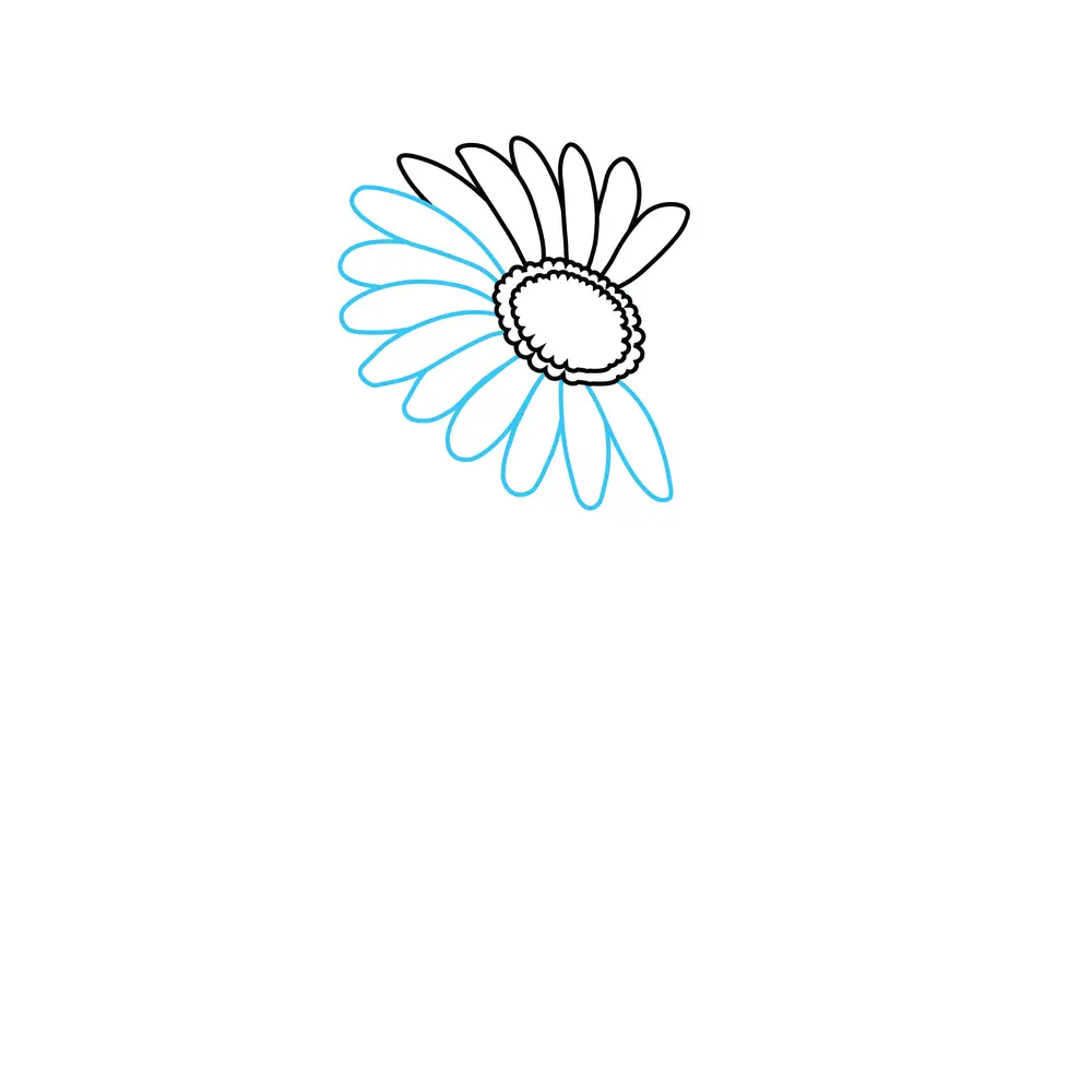 How to Draw A Daisy Step by Step Step  4