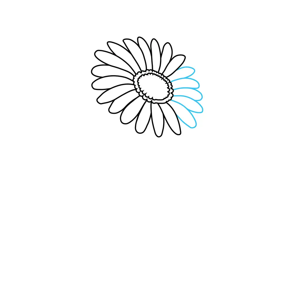 How to Draw A Daisy Step by Step Step  5
