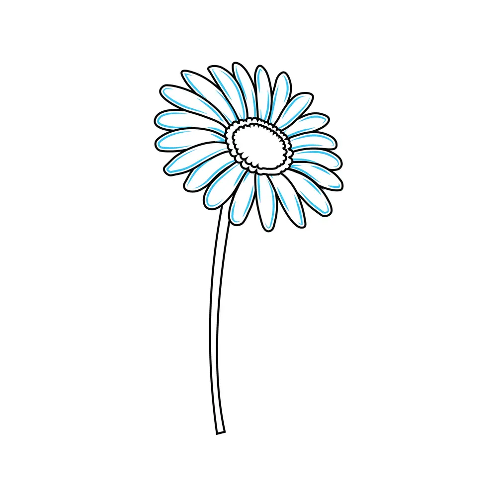 How to Draw A Daisy Step by Step Step  7