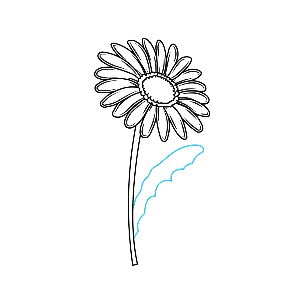 How to Draw A Daisy Step by Step Step  8