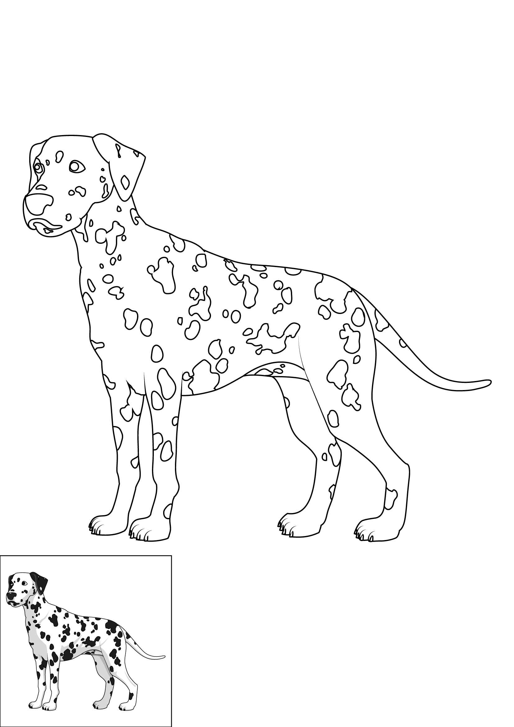 How to Draw A Dalmatian Step by Step Printable Color