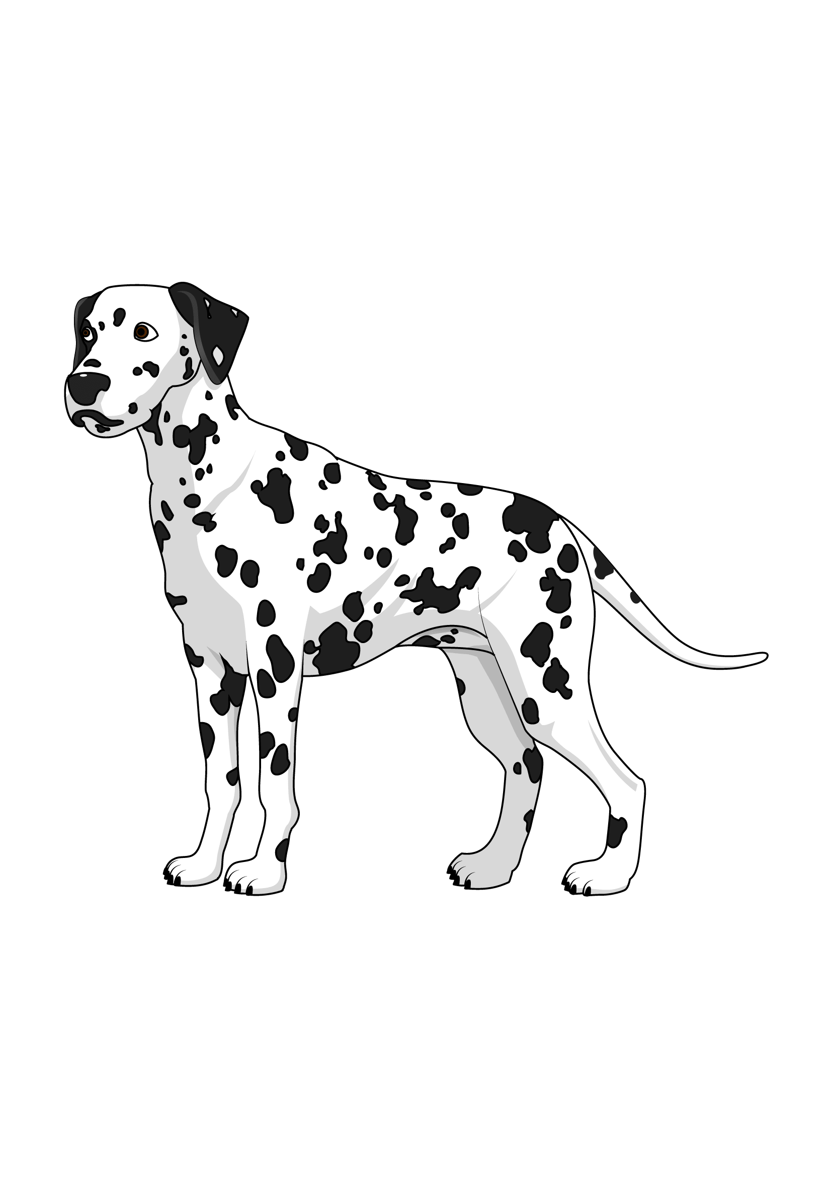 How to Draw A Dalmatian Step by Step Printable