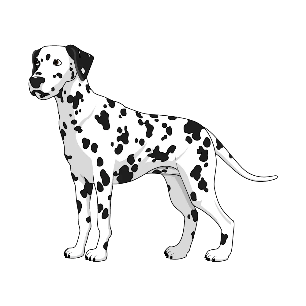How to Draw A Dalmatian Step by Step Thumbnail
