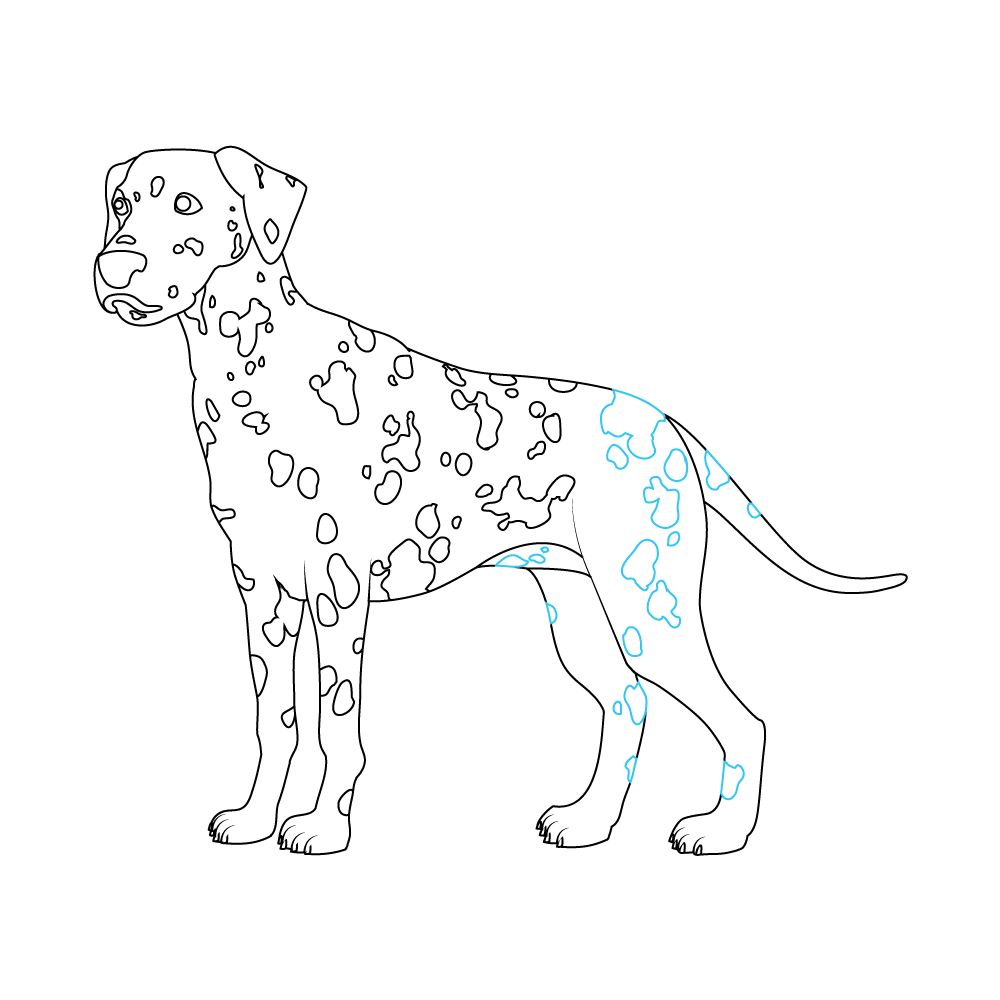 How to Draw A Dalmatian Step by Step Step  10