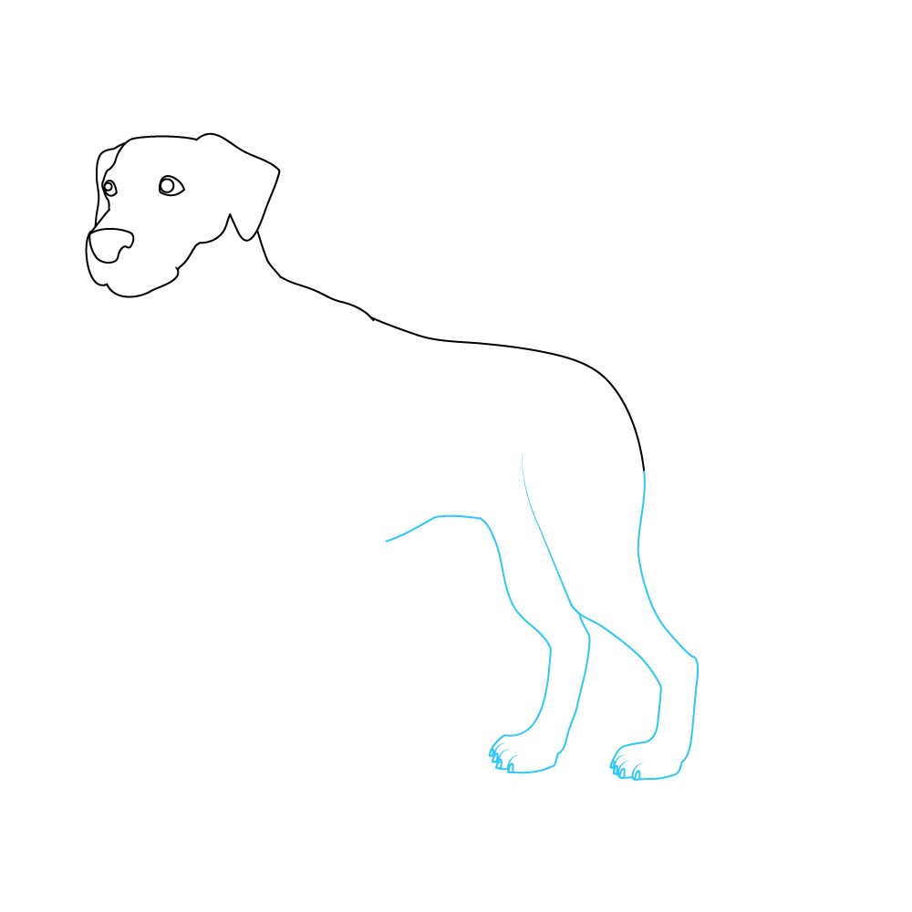 How to Draw A Dalmatian Step by Step Step  4