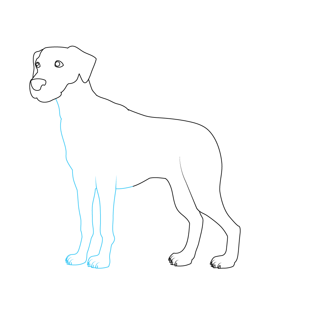 How to Draw A Dalmatian Step by Step Step  5
