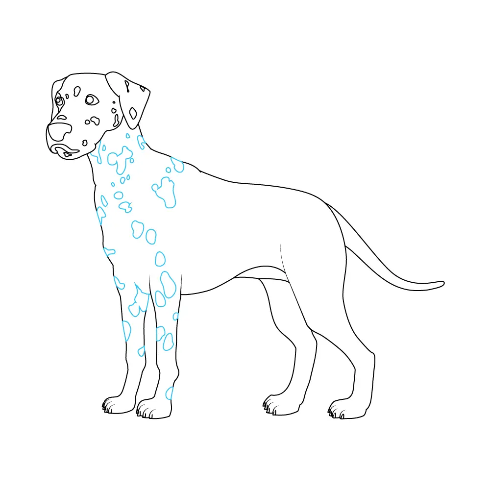 How to Draw A Dalmatian Step by Step Step  8