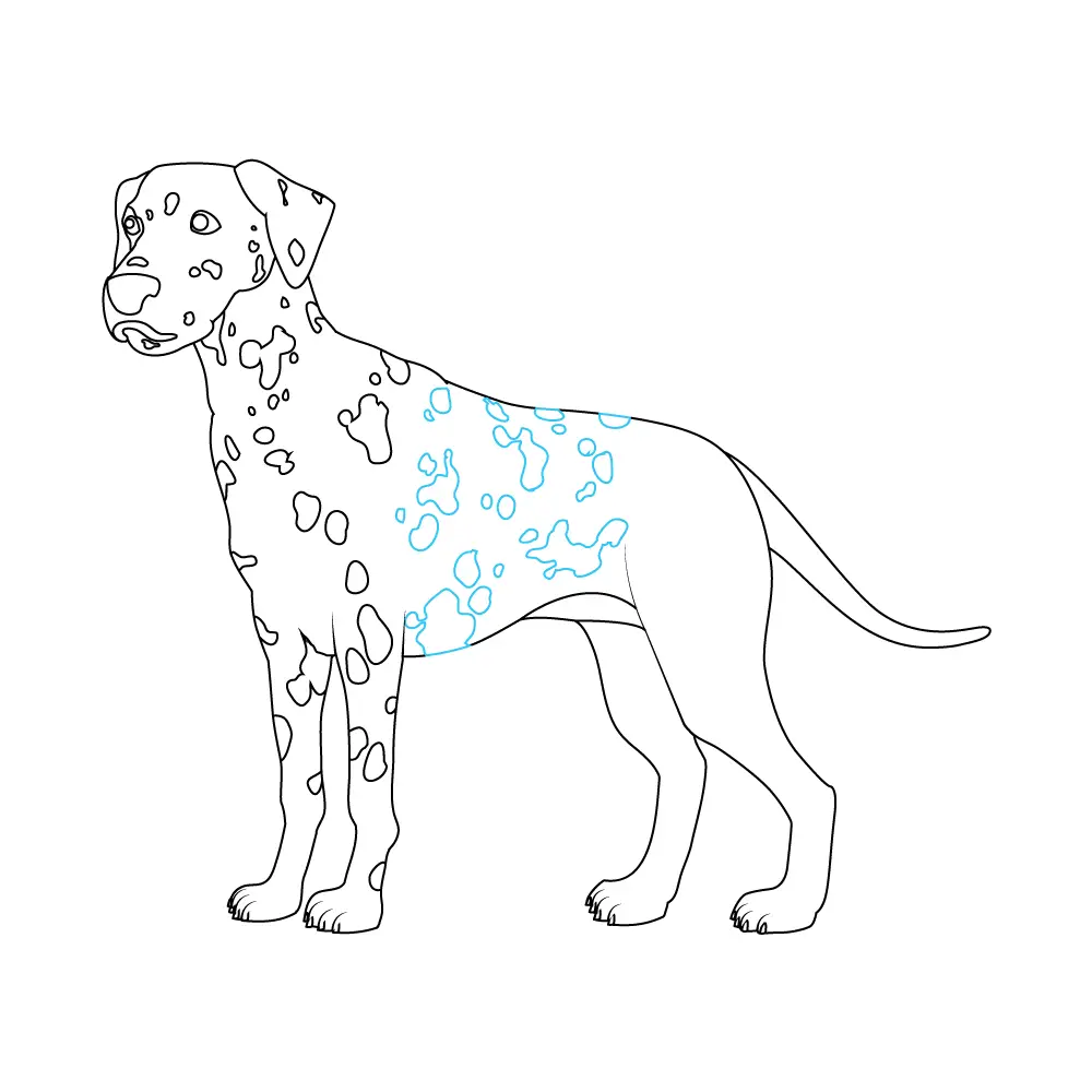 How to Draw A Dalmatian Step by Step Step  9