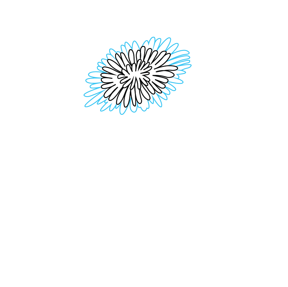 How to Draw A Dandelion Flower Step by Step Step  3