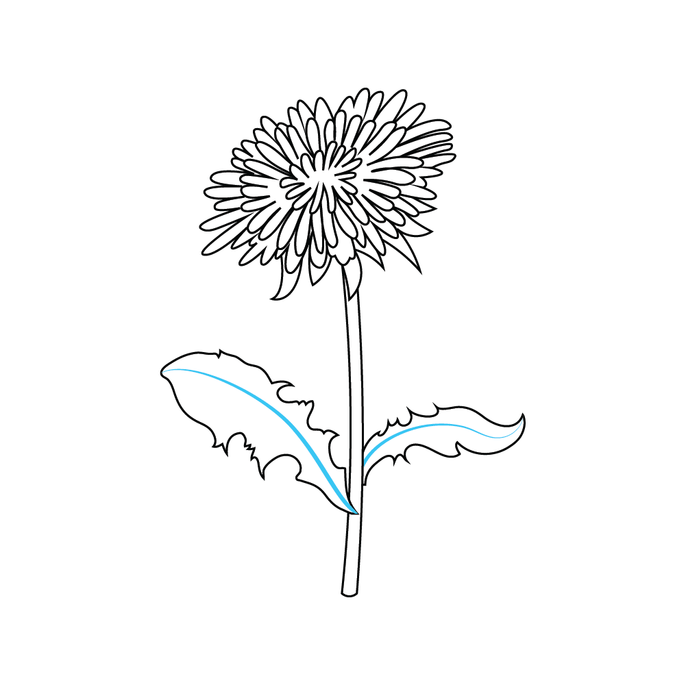 How to Draw A Dandelion Flower Step by Step Step  8