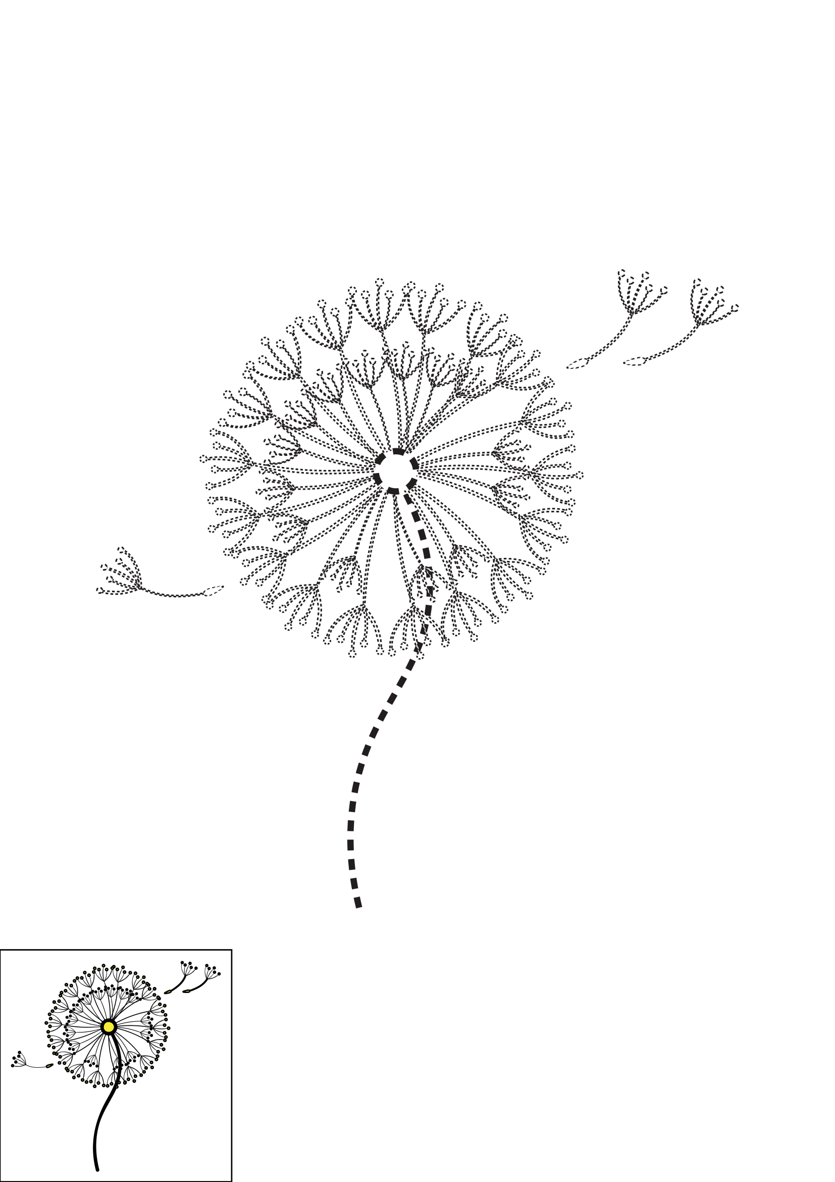 How to Draw A Dandelion Step by Step Printable Dotted