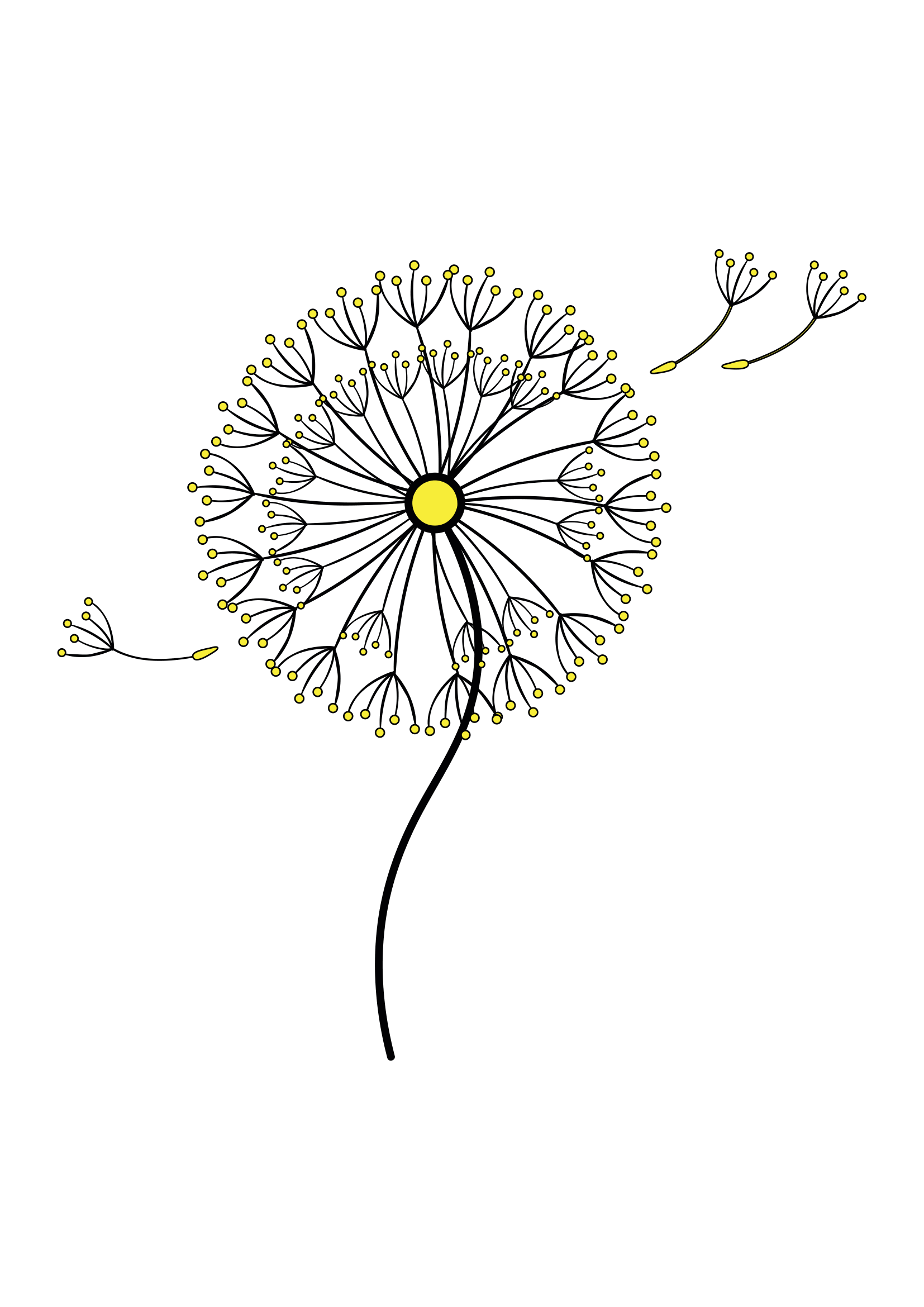 How to Draw A Dandelion Step by Step Printable