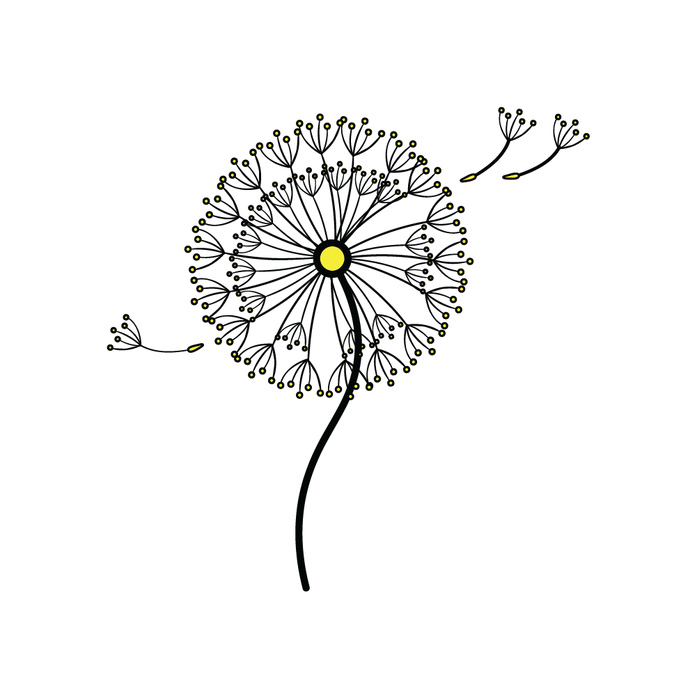 How to Draw A Dandelion Step by Step Step  10