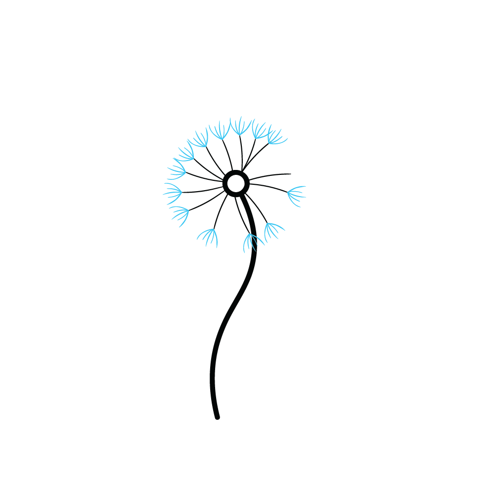 How to Draw A Dandelion Step by Step Step  4