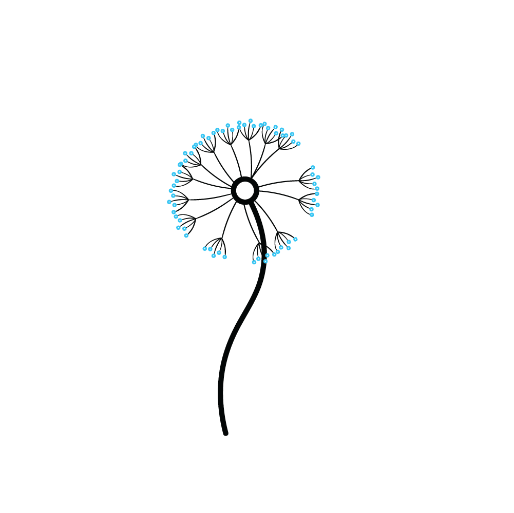 How to Draw A Dandelion Step by Step Step  5