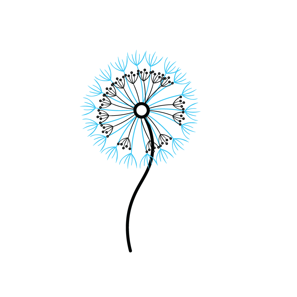 How to Draw A Dandelion Step by Step Step  6