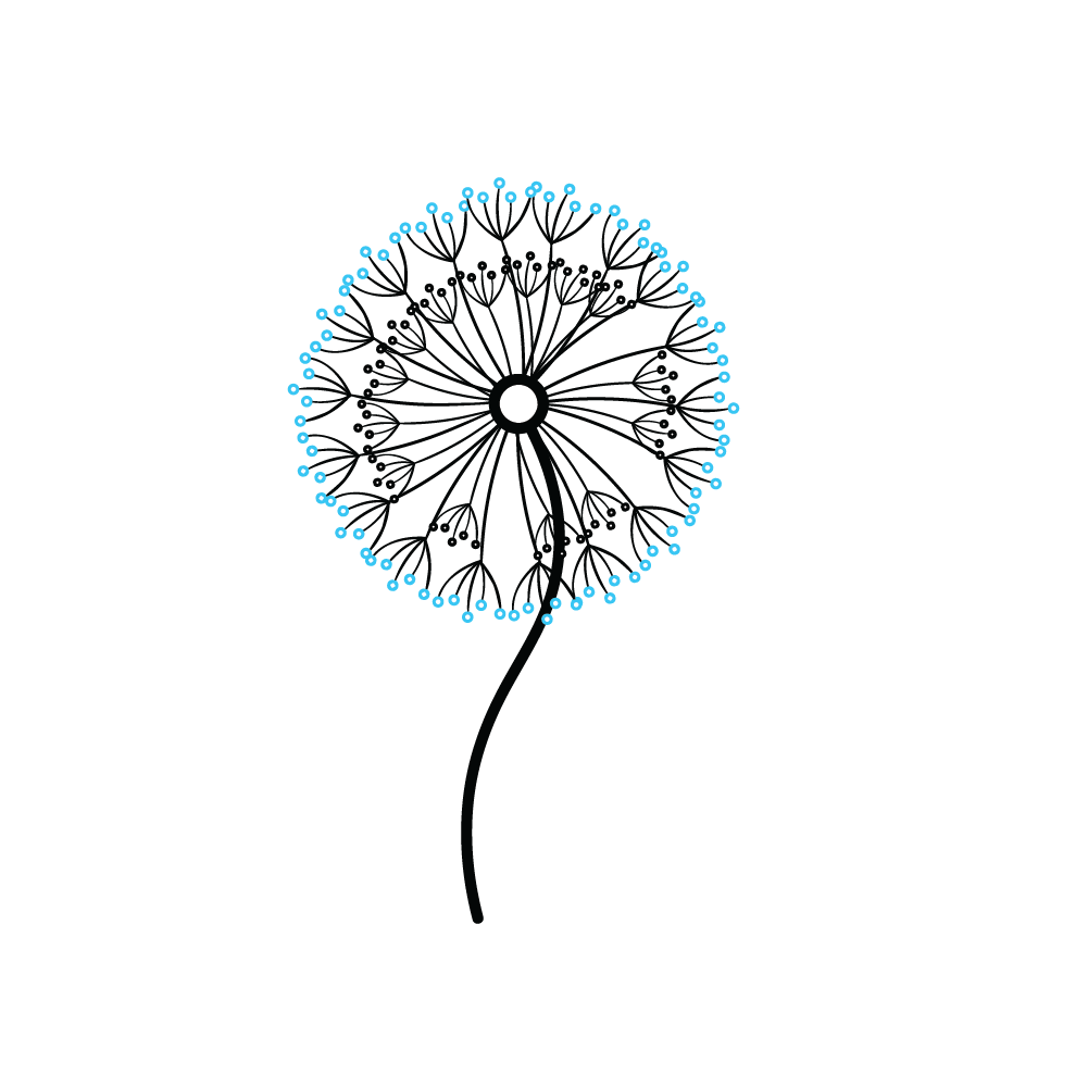 How to Draw A Dandelion Step by Step Step  7