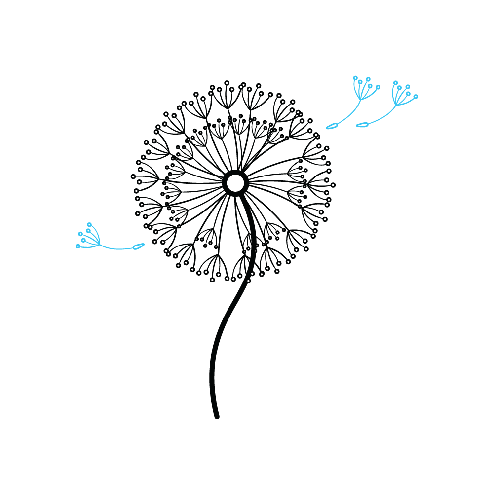 How to Draw A Dandelion Step by Step Step  8