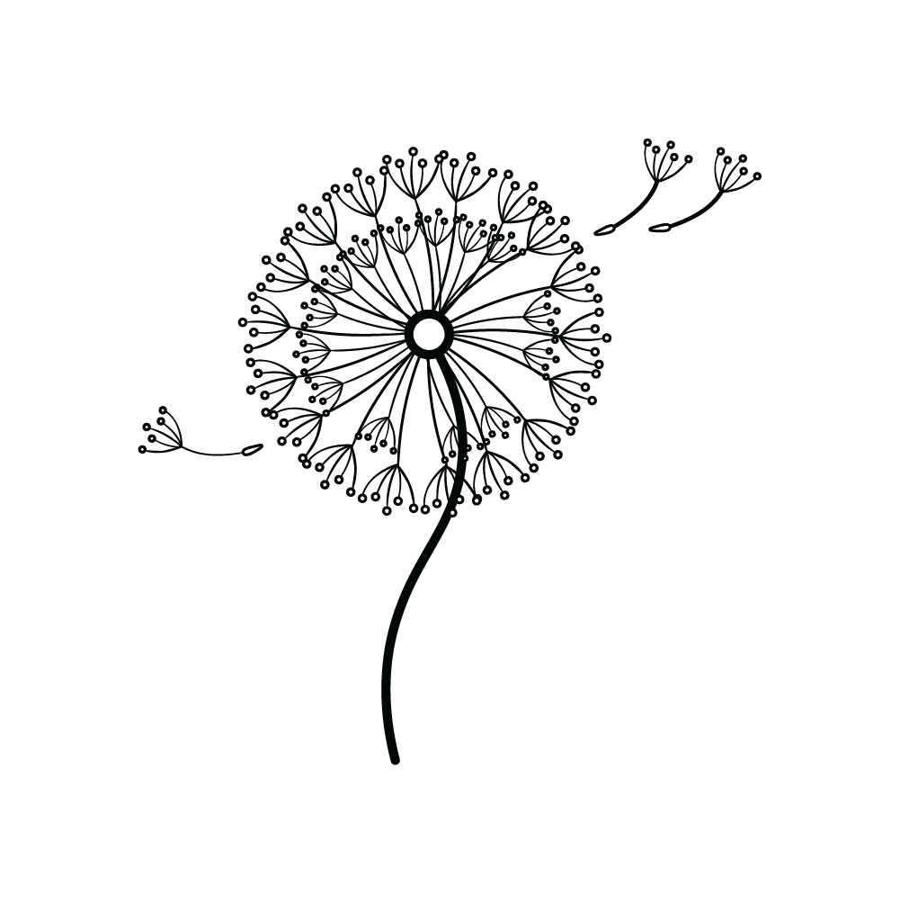 How to Draw A Dandelion Step by Step Step  9