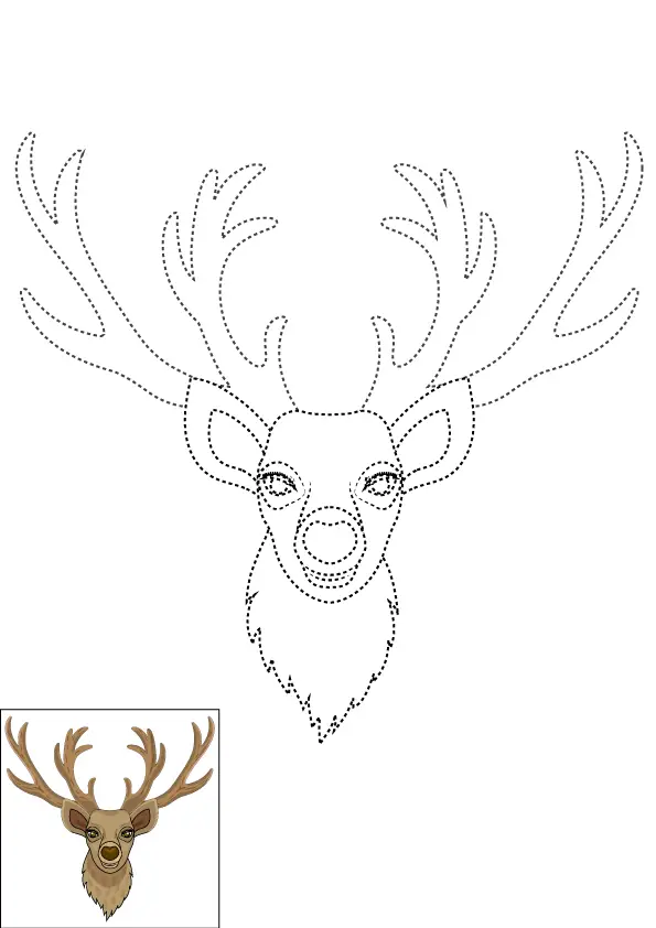 How to Draw A Deer Head Step by Step Printable Dotted