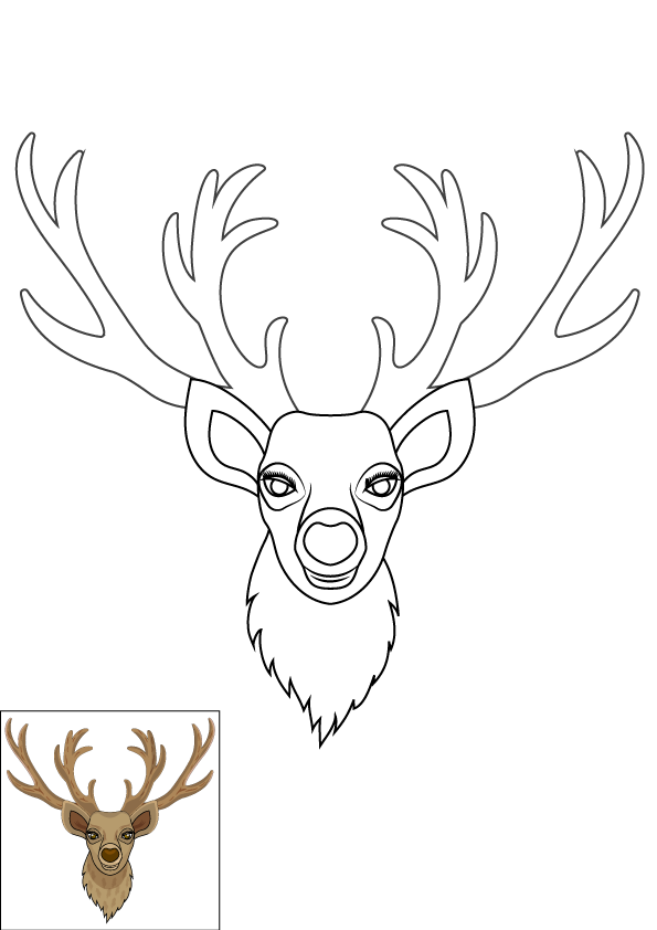 How to Draw A Deer Head Step by Step Printable Color