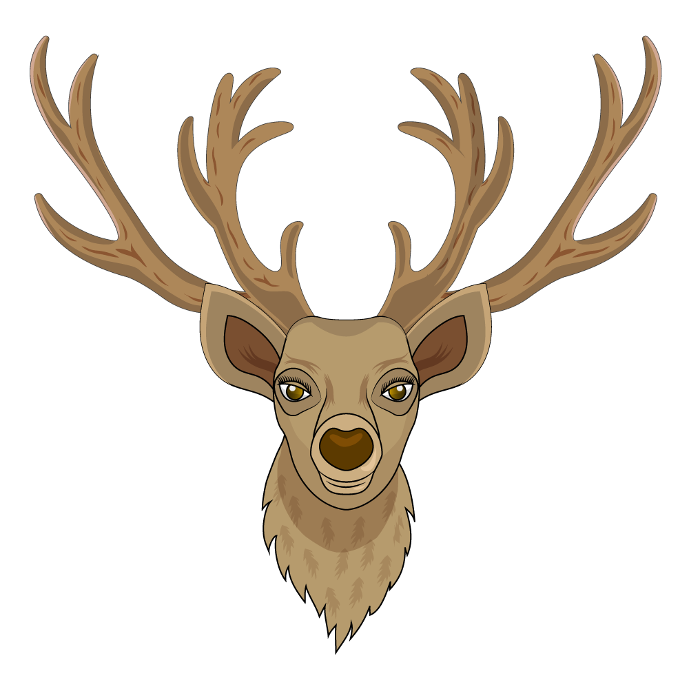 How to Draw A Deer Head Step by Step Step  12