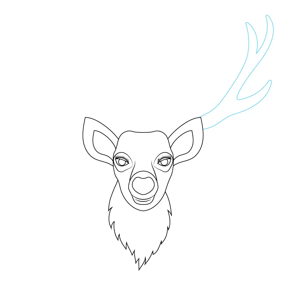 How to Draw A Deer Head Step by Step Step  7
