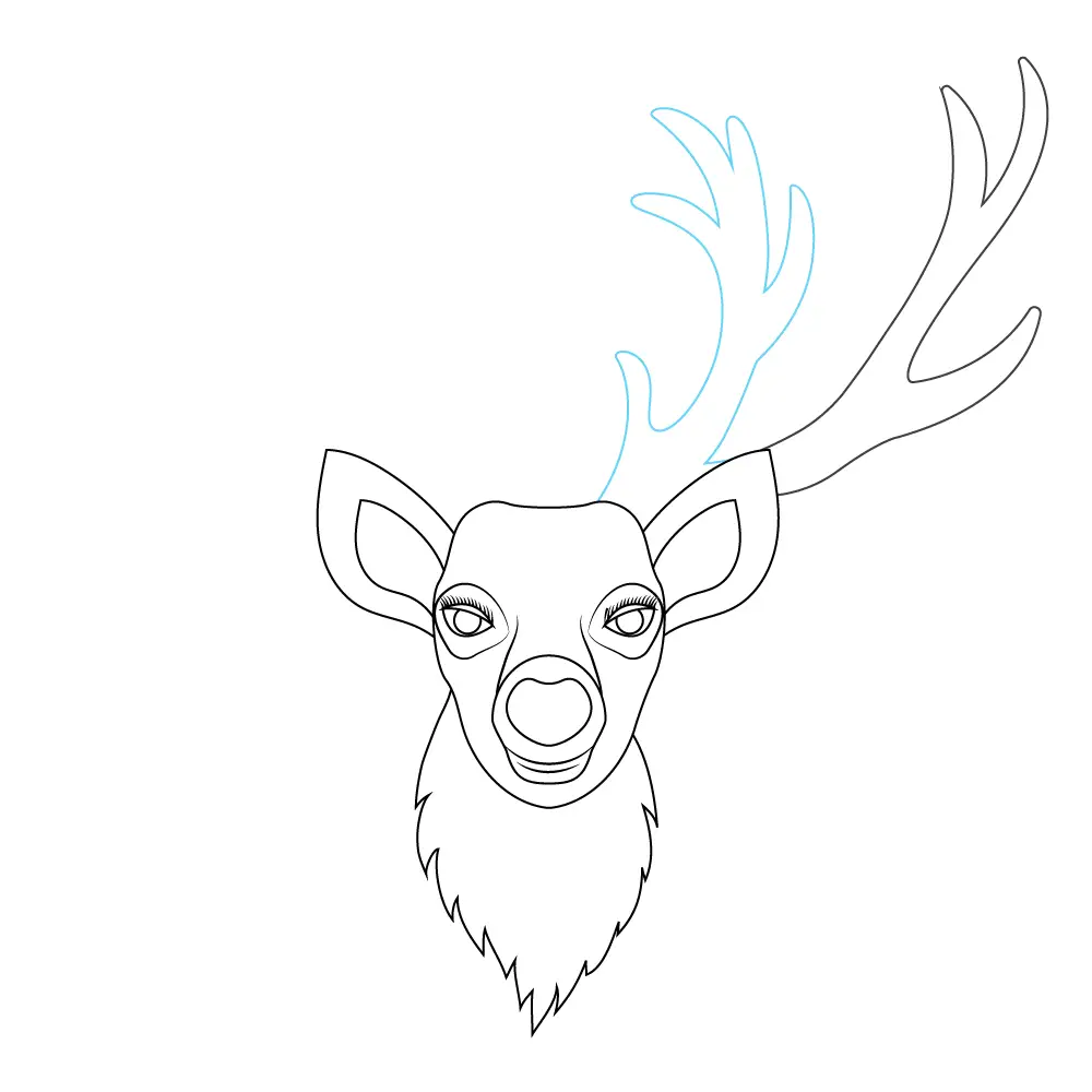 How to Draw A Deer Head Step by Step Step  8