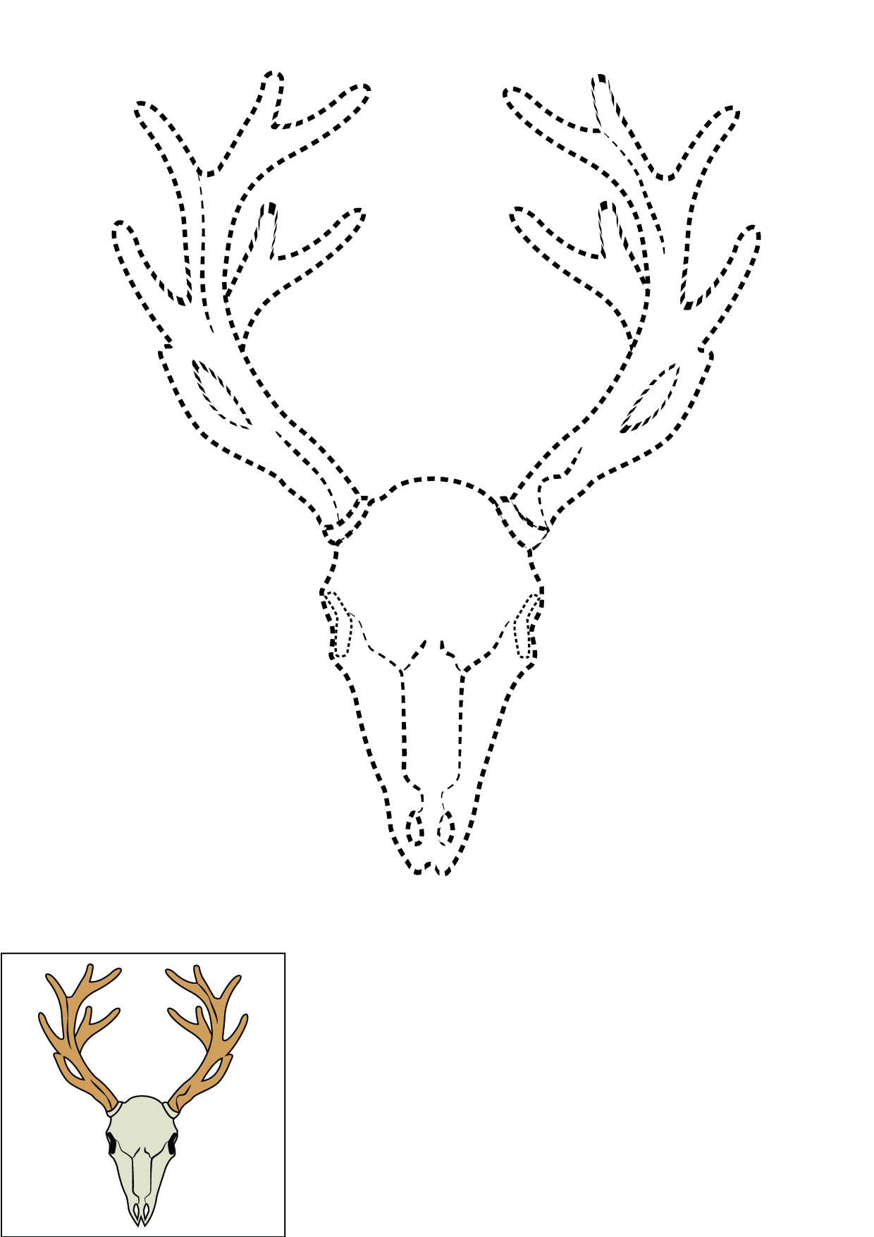How to Draw A Deer Skull Step by Step Printable Dotted