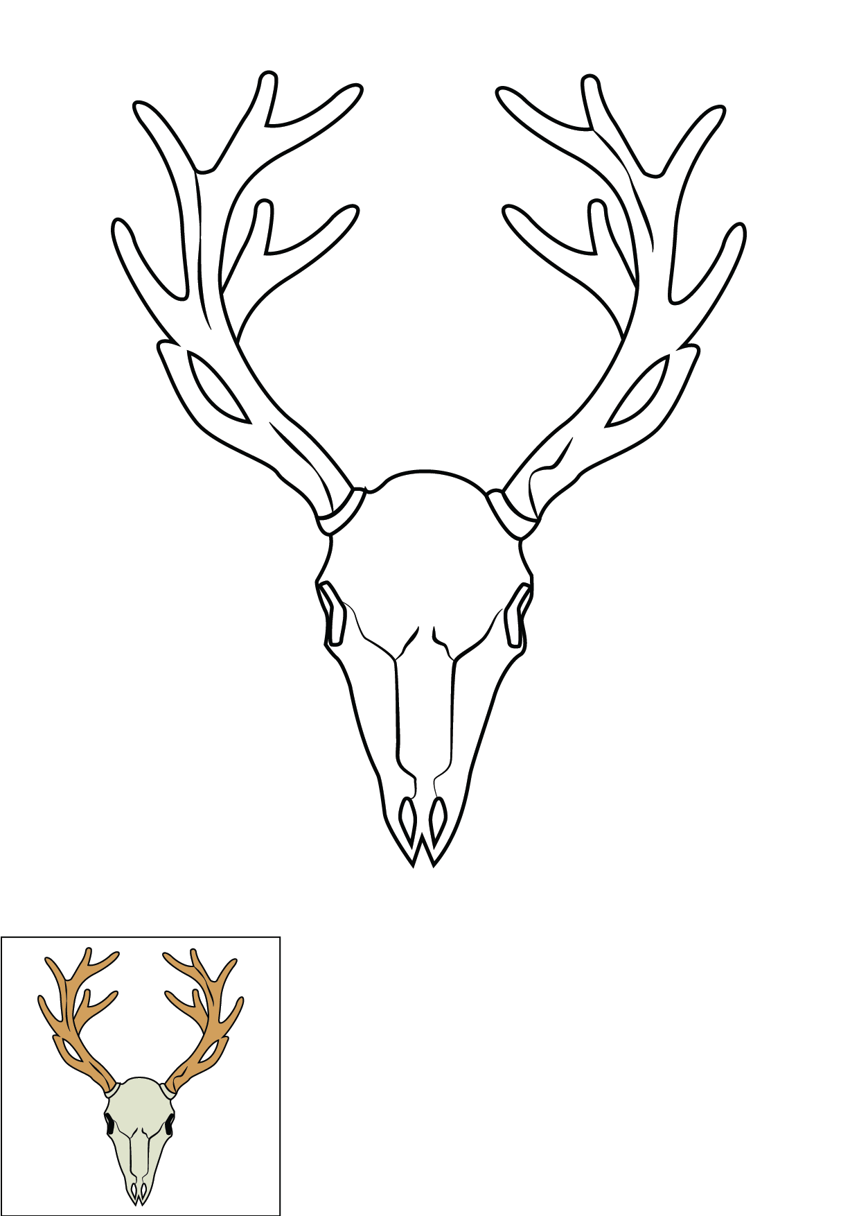 How to Draw A Deer Skull Step by Step Printable Color