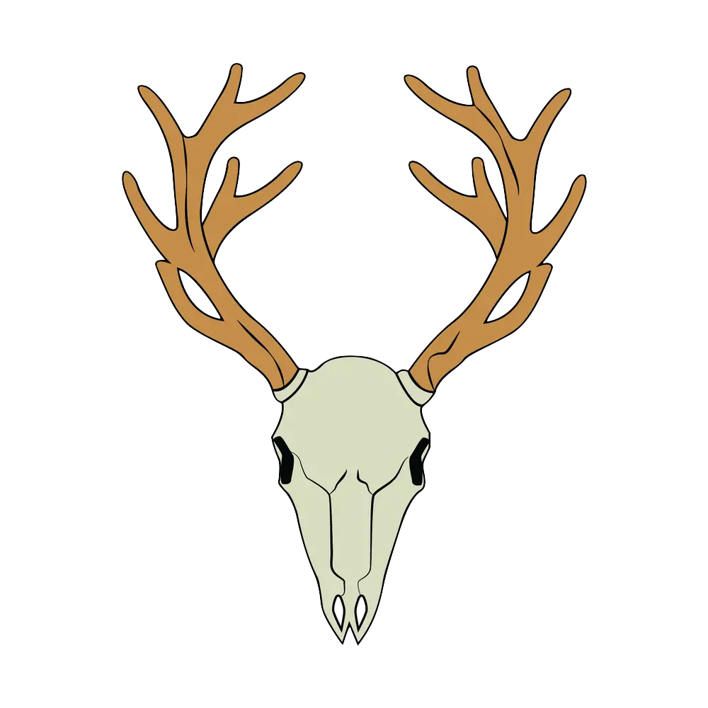 How to Draw A Deer Skull Step by Step Thumbnail