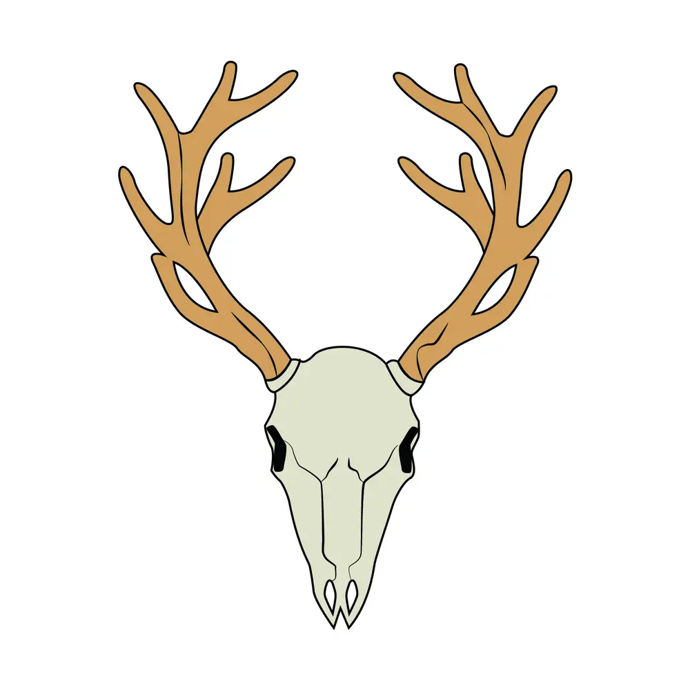 How to Draw A Deer Skull Step by Step Step  10