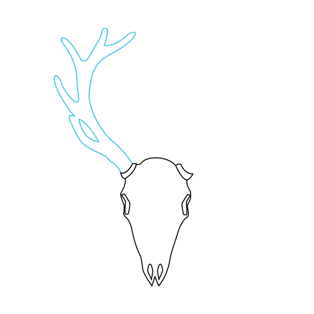 How to Draw A Deer Skull Step by Step Step  5