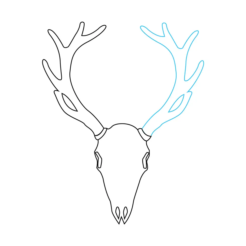 How to Draw A Deer Skull Step by Step Step  6