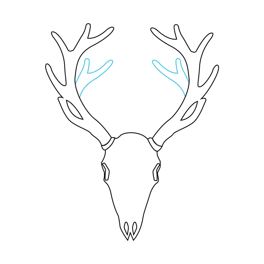 How to Draw A Deer Skull Step by Step Step  7