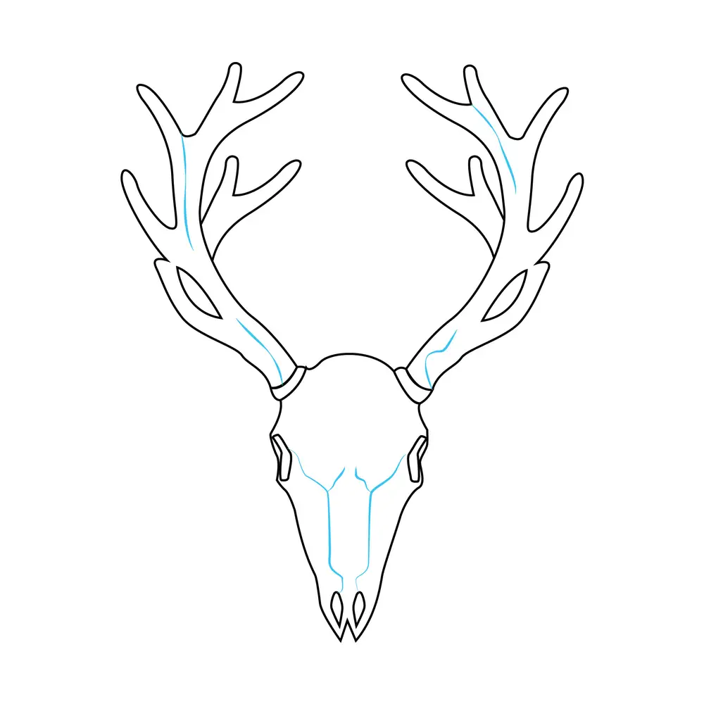 How to Draw A Deer Skull Step by Step Step  8