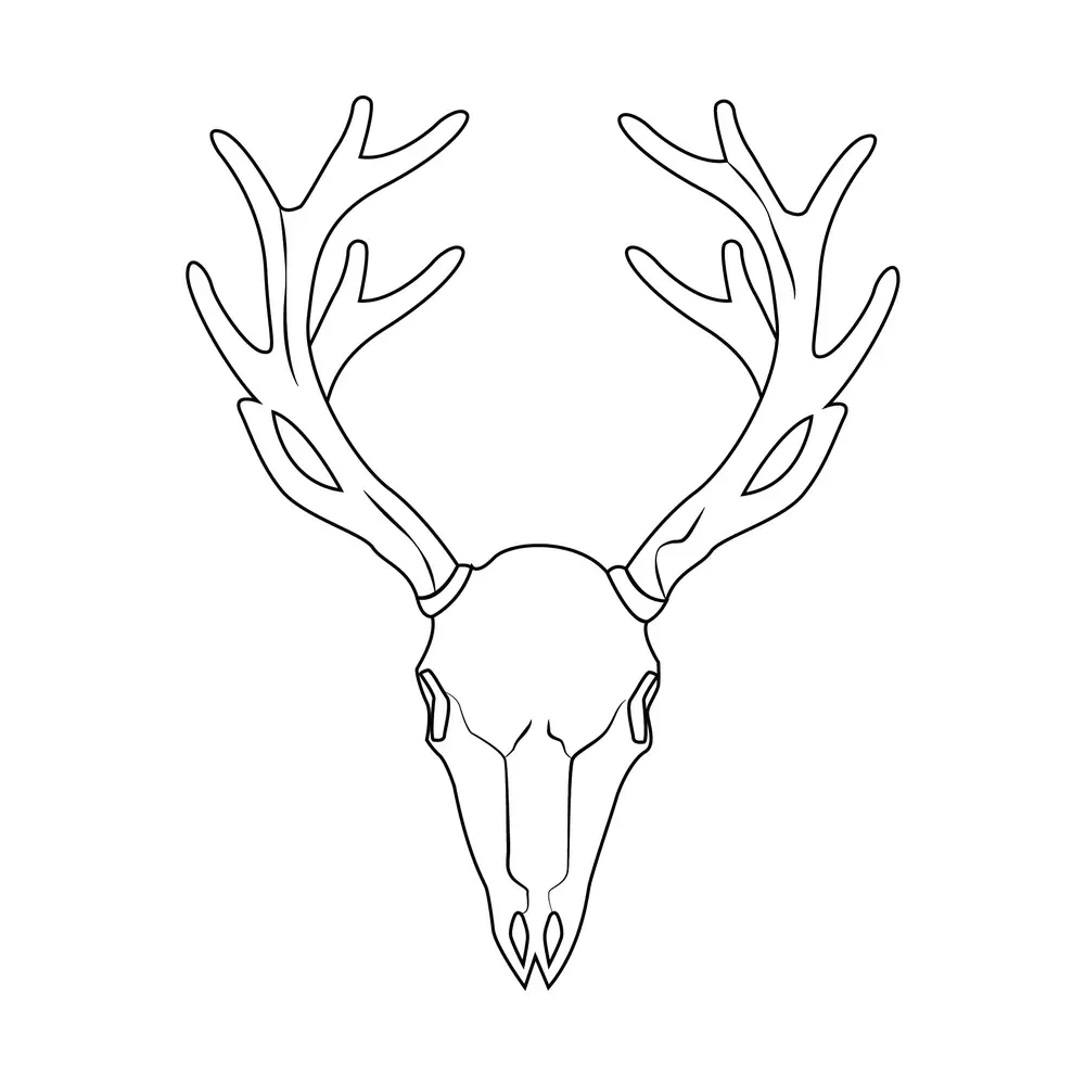 How to Draw A Deer Skull Step by Step Step  9