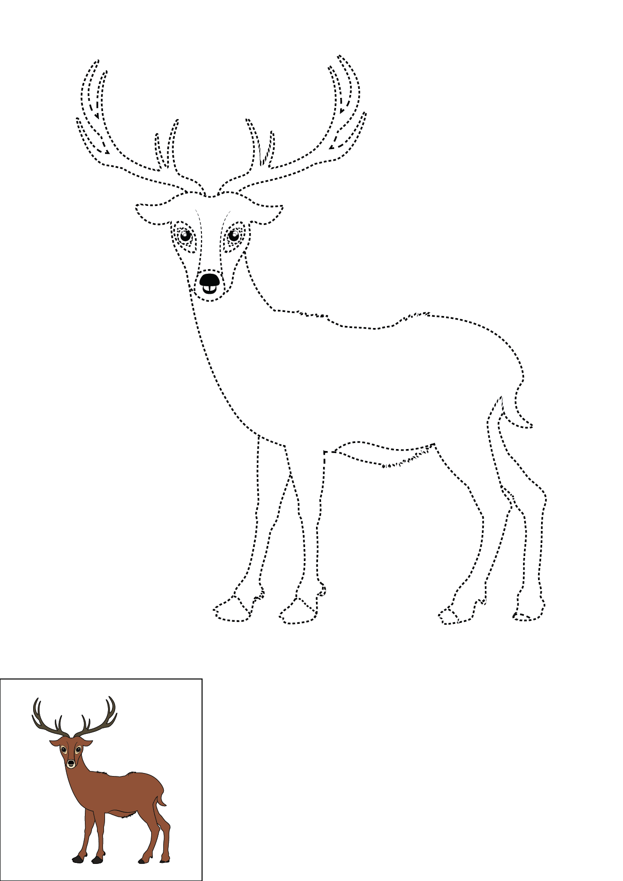 How to Draw A Deer Step by Step Printable Dotted