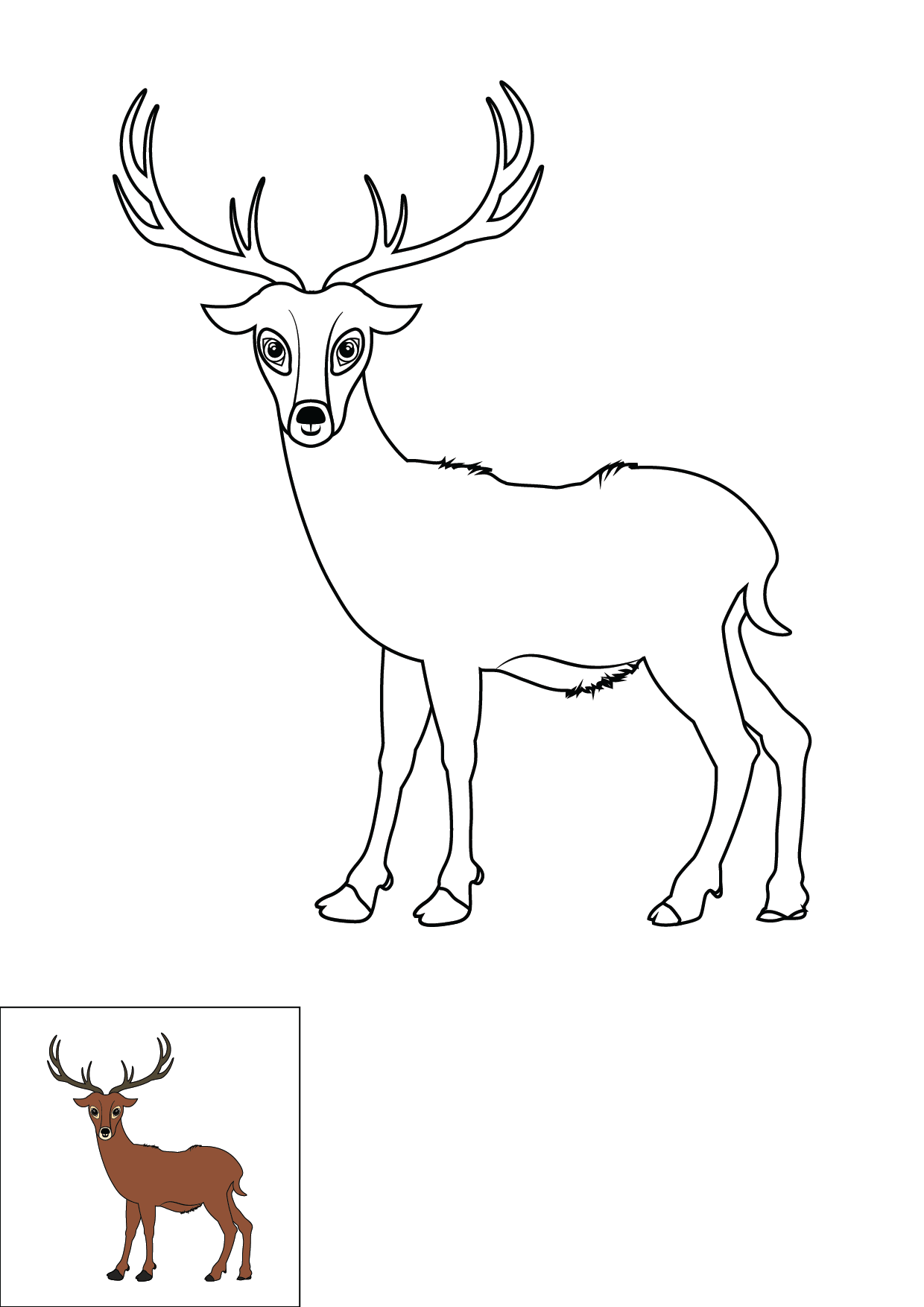 How to Draw A Deer Step by Step Printable Color
