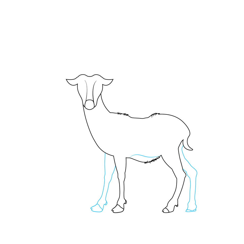 How to Draw A Deer Step by Step Step  5