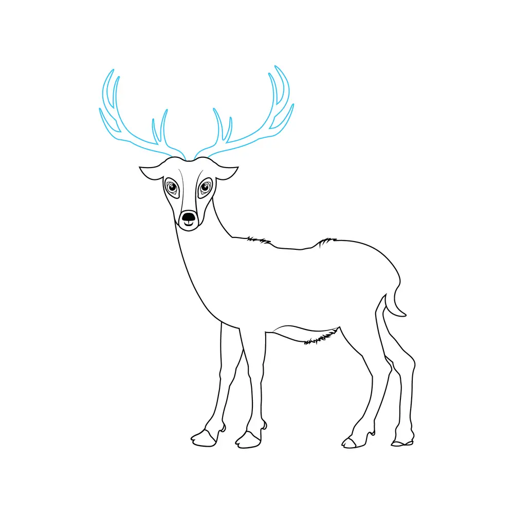 How to Draw A Deer Step by Step Step  7